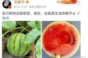 哪里可以吃娱乐圈瓜,揭秘明星们的幕后故事与幕后美食